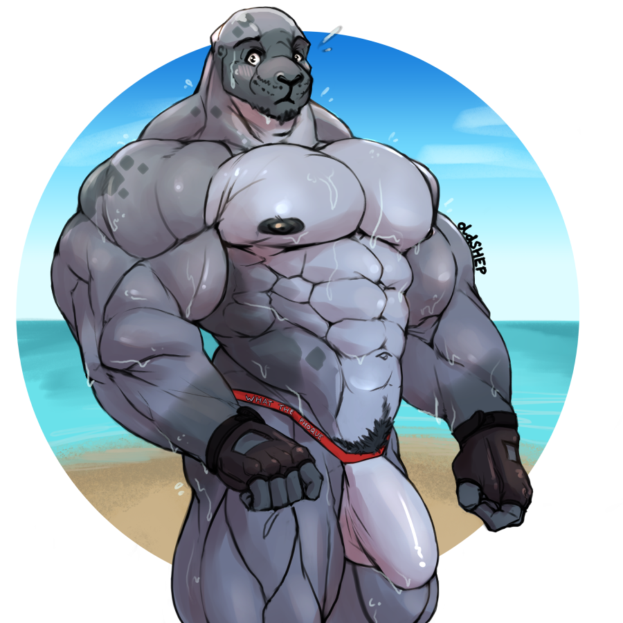 1:1 anthro beach beard big_bulge black_nipples blush bodily_fluids bulge clothing facial_hair fingerless_gloves gloves handwear harp_seal huge_muscles jockstrap looking_at_viewer male mammal marine muscular muscular_male nipples oldshep outside pecs pinniped pubes seal seaside solo standing sweat underwear