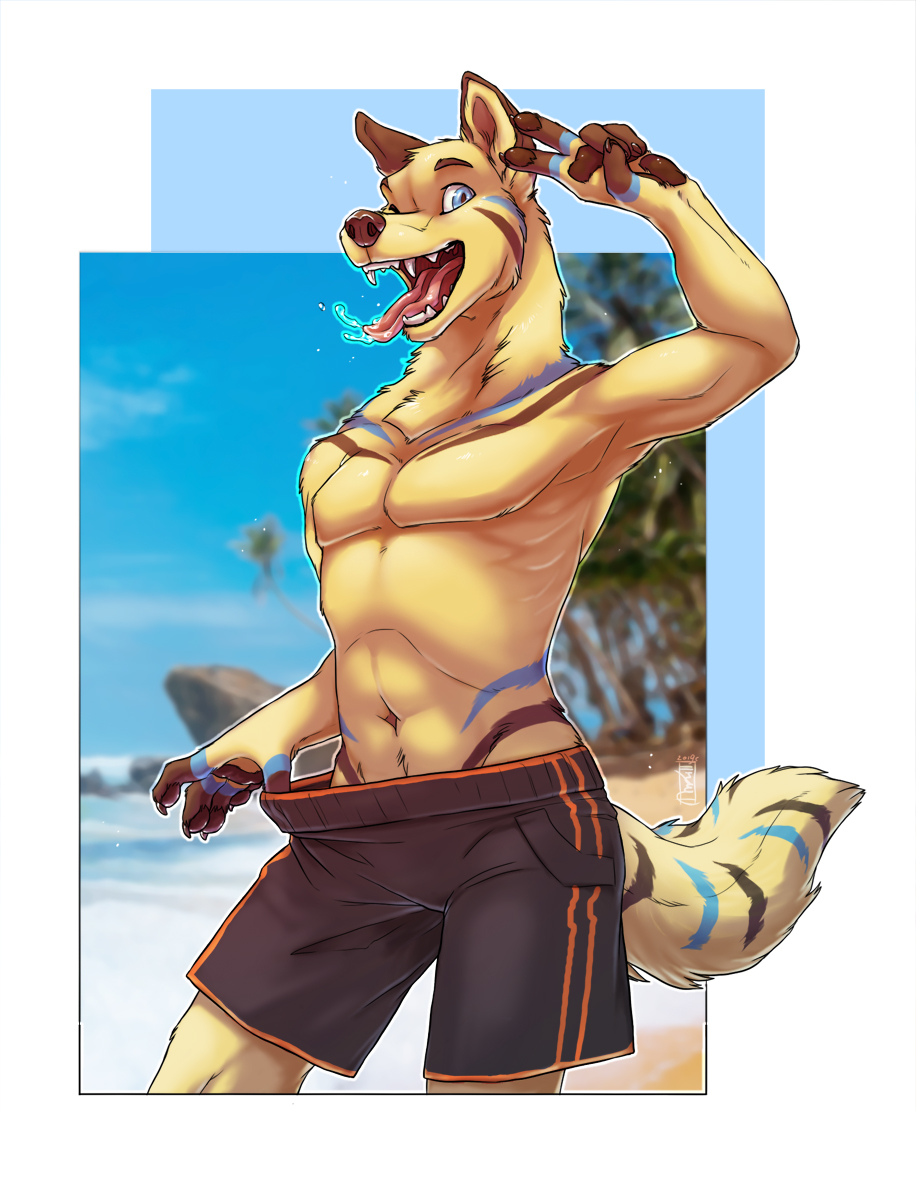 anthro beach canid canine canis clothed clothing domestic_dog fuckie hi_res looking_at_viewer male mammal open_mouth outside seaside solo standing tongue tongue_out topless