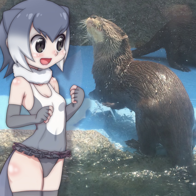 1:1 2019 4_fingers african_clawless_otter ambiguous_gender animal_humanoid armwear asian_small-clawed_otter_(kemono_friends) bare_shoulders biped black_eyes black_nose blush breasts brown_fur brown_tail cleavage clothed clothing collarbone digital_drawing_(artwork) digital_media_(artwork) duo_focus edit elbow_gloves eyebrow_through_hair eyebrows faceless_ambiguous female feral fingerless_gloves fingers fist fur fur_collar glistening glistening_fur glistening_skin gloves grey_armwear grey_clothing grey_ears grey_gloves grey_hair grey_handwear grey_swimwear grey_tail group hair hair_highlights handwear human_and_animal_ears humanoid japanese kemono_friends legwear light light_skin lighting looking_at_another lutrine mammal mammal_humanoid medium_breasts membrane_(anatomy) mixed_media multi_ear multicolored_clothing multicolored_hair multicolored_swimwear mustelid mustelid_humanoid on_hind_legs one-piece_swimsuit open_mouth open_smile otter_humanoid partially_submerged photo_background photo_manipulation photography_(artwork) quadruped real ringofriend shadow short_hair smile snout standing swimwear tan_skin thigh_highs translucent translucent_hair two_tone_clothing two_tone_hair two_tone_swimwear water webbed_feet wet wet_fur whiskers white_clothing white_hair white_highlights white_swimwear