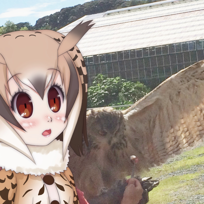 1:1 2019 ambiguous_gender assistant_mimi-chan avian beak biped bird blush breasts brown_eyes brown_feathers brown_hair brown_highlights bubo_(genus) building clothed clothing cloud cutlery digital_drawing_(artwork) digital_media_(artwork) duo_focus dutch_angle edit eurasian_eagle-owl eyebrow_through_hair eyebrows eyelashes feathered_wings feathers female feral food fork frown fur_collar fur_trim_(clothing) grass group hair hair_highlights holding_object human japanese kemono_friends kitchen_utensils light light_skin lighting lips mammal meat medium_breasts mixed_media multicolored_hair open_frown open_mouth outside owl photo_background photo_manipulation photography_(artwork) pink_lips raised_eyebrows real ringofriend shadow short_hair sky spread_wings surprise tan_hair tools translucent translucent_hair tree true_owl two_tone_hair white_hair white_highlights wings