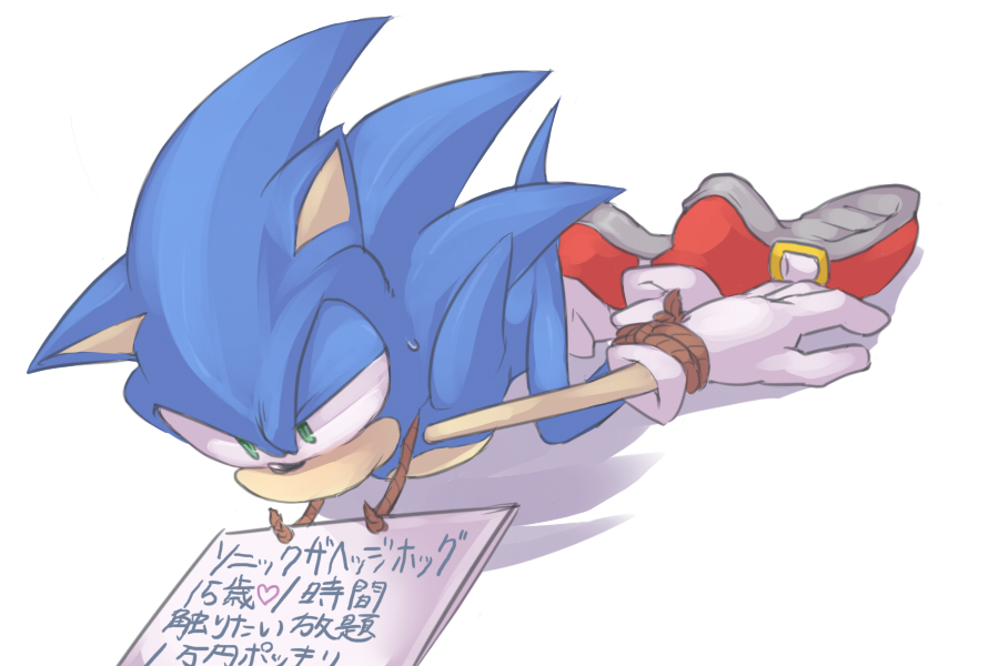 &lt;3 3:2 anthro bdsm blue_fur bodily_fluids bondage bound clothing eulipotyphlan footwear fur gloves green_eyes handwear hedgehog hogtied male mammal rope shoes sign simple_background solo sonic_(series) sonic_the_hedgehog sweat text translation_request white_background なし