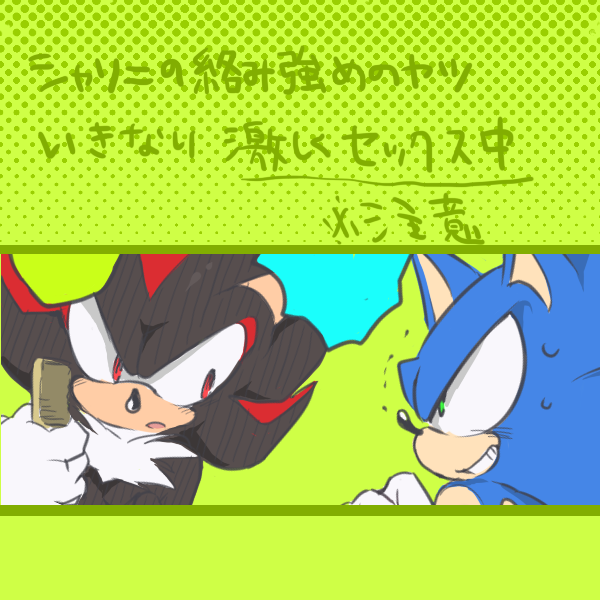 1:1 anthro bodily_fluids brush cover cover_page duo eulipotyphlan green_background grin hairbrush hedgehog holding_object japanese_text looking_at_another male mammal shadow_the_hedgehog simple_background smile sonic_(series) sonic_the_hedgehog sweat text なし