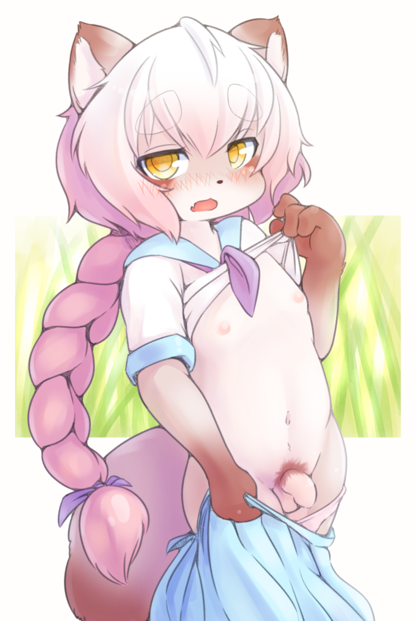 anthro balls blush bottomwear braided_hair canid canine canopus335 clothed clothing crossdressing cub flaccid girly hair hi_res kemono male mammal nipples open_mouth penis pubes raccoon_dog skirt solo tanuki undressing yellow_eyes young