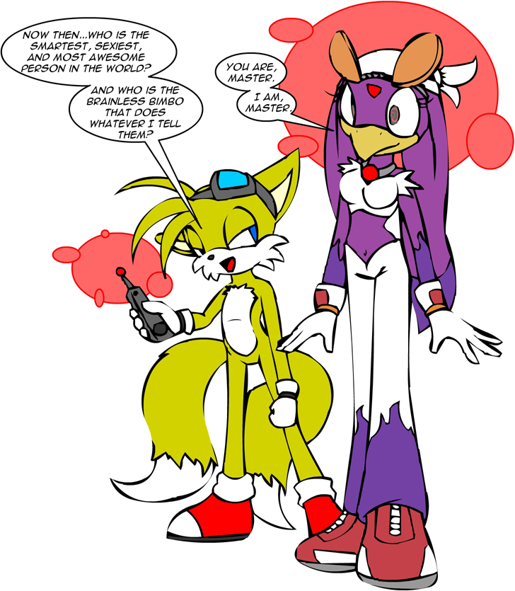 anthro avian beak blue_eyes canid canine chaoscroc clothing collar controller feathers female footwear fox fur gloves handwear hypnosis mammal miles_prower mind_control purple_feathers remote_control shoes smile sonic_(series) sonic_riders submissive submissive_female wave_the_swallow yellow_fur