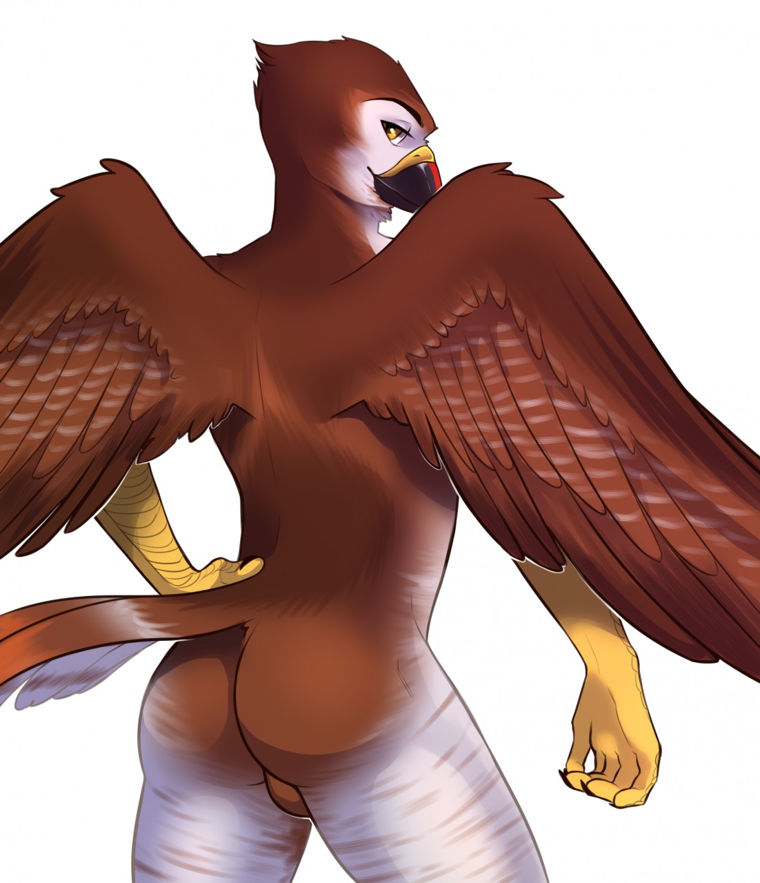 accipitrid accipitriform anthro avian backsack balls beak bird brown_body brown_feathers buteo butt chickenhawk feathered_wings feathers half-closed_eyes hand_on_hip hi_res kokidius looking_back male nude red-tailed_hawk smile solo standing tail_feathers wings yellow_eyes