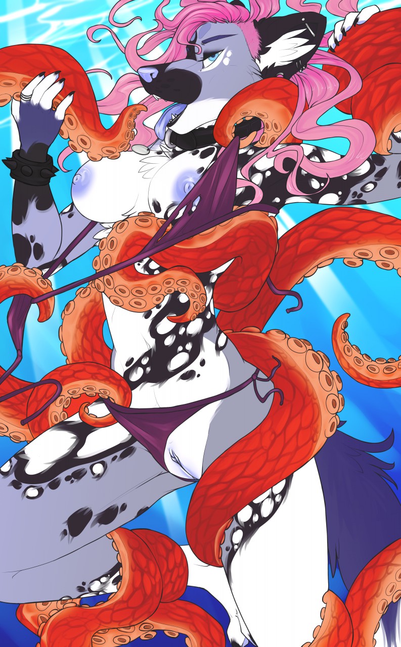 2019 5_fingers african_wild_dog anthro areola assisted_exposure bikini blue_eyes breasts canid canine clothing digital_media_(artwork) female fingers hi_res kittentits mammal midriff navel nipples open_mouth pussy solo swimwear teeth tentacles toes tongue