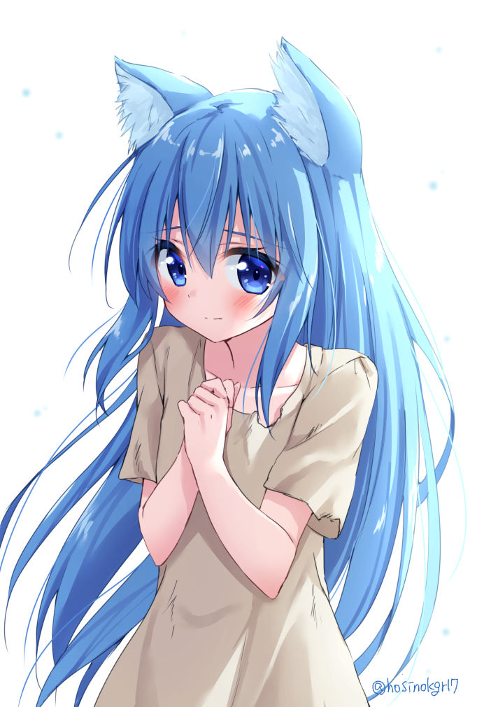 1girl animal_ear_fluff animal_ears bangs blue_eyes blue_hair blush brown_dress cat_ears closed_mouth collarbone commentary_request dress eyebrows_visible_through_hair hair_between_eyes hands_together hands_up hoshino_kagari long_hair original own_hands_together short_sleeves simple_background solo torn_clothes torn_dress twitter_username very_long_hair white_background