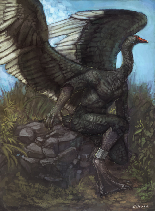 ambiguous_gender anatid anklet anseriform anserinae anthro avian beak bird blue_sky cloud feathered_wings feathers feet full-length_portrait goose grass grey_body grey_feathers grey_wings jewelry long_neck membrane_(anatomy) outside plant portrait red_beak rock saltyserpent side_view sitting sitting_on_rock sky solo talon_hands talons toes webbed_feet white_clouds wings