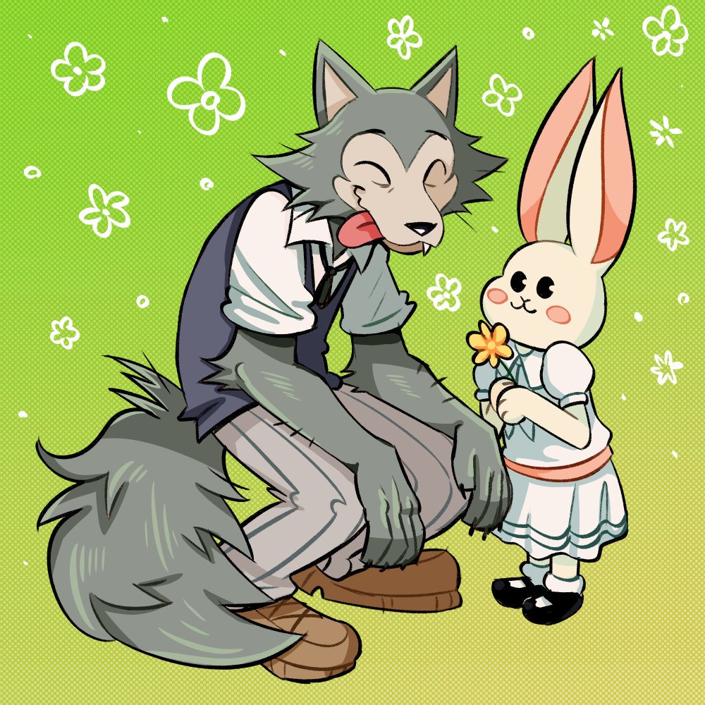 beastars bottomwear boy_squashy canid canine canis cheek_tuft clothed clothing crouching cute_fangs dress eyes_closed face_tuft flower fluffy fluffy_tail footwear fully_clothed fur gradient_background green_background grey_body grey_fur happy haru_(beastars) holding_object lagomorph legosi_(beastars) leporid mammal pants plant rabbit shirt shoes simple_background smile tongue tongue_out topwear tuft white_body white_fur wolf