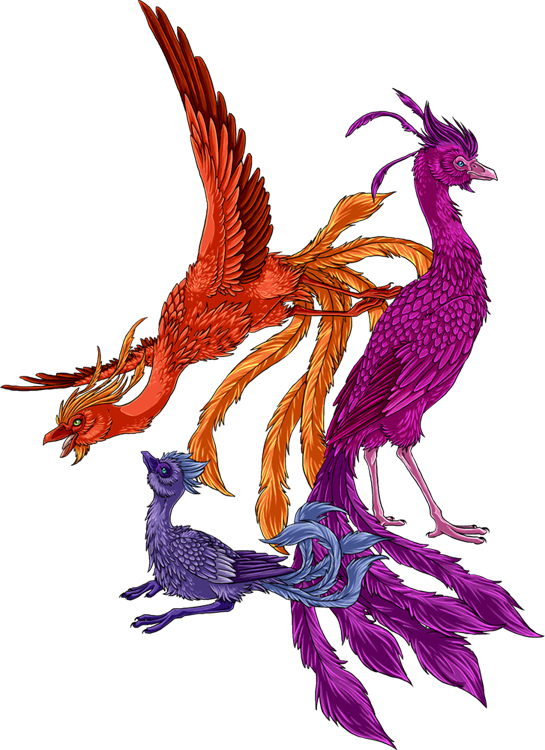 2009 age_difference alpha_channel asian_mythology avian cub east_asian_mythology european_mythology feathered_wings feathers feral greek_mythology mkx mythological_bird mythological_fenghuang mythological_firebird mythology phoenix simple_background size_difference transparent_background wings young