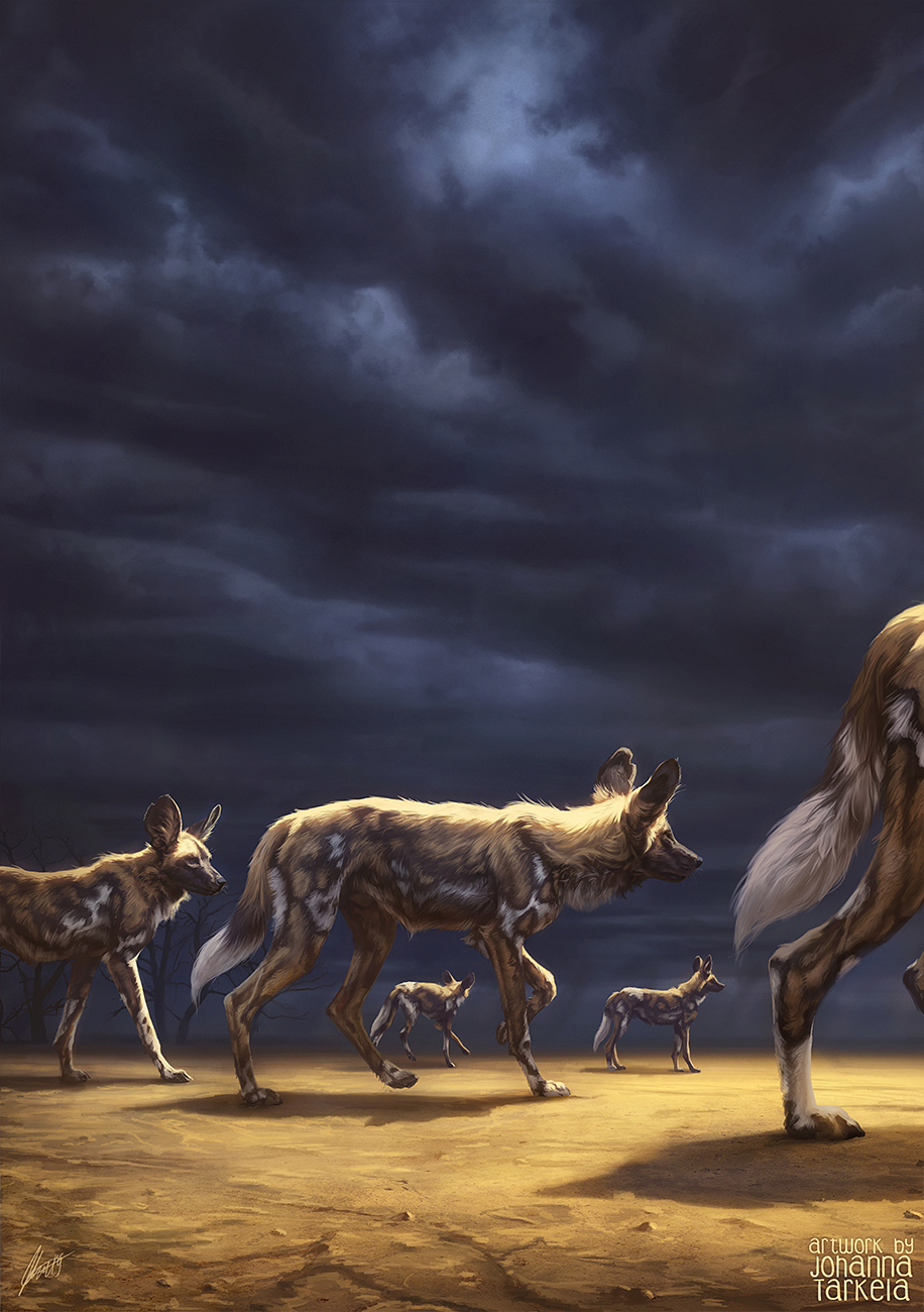 2019 african_wild_dog ambiguous_gender black_body black_fur black_nose brown_body brown_fur canid canine cloud day dead_tree desolate detailed_background digital_media_(artwork) digitigrade feral fur group hi_res inner_ear_fluff johis mammal outside overcast paws signature sky standing storm tan_body tan_fur tuft walking whiskers white_body white_fur