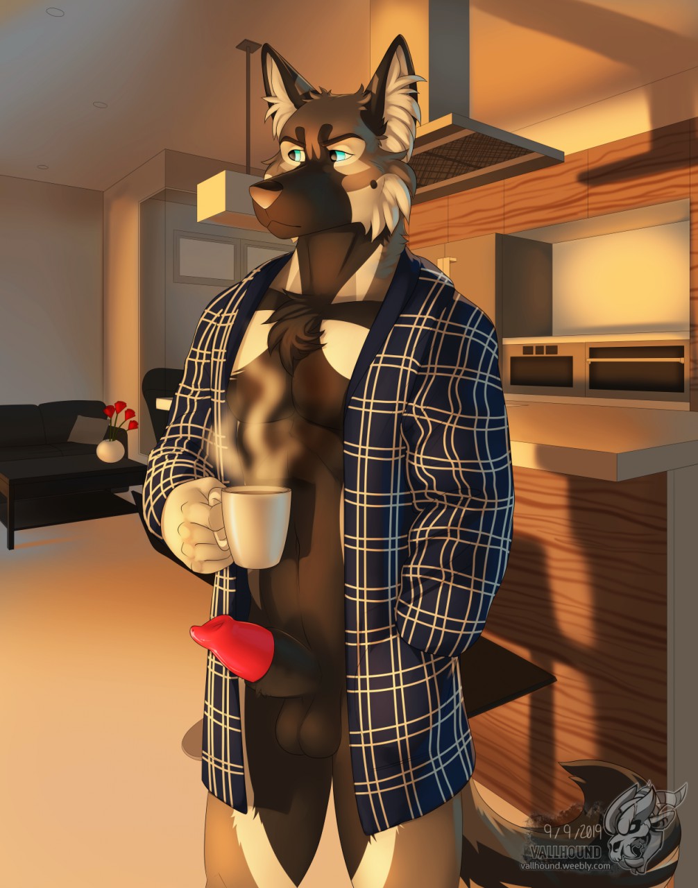 2019 4_toes 5_fingers animal_genitalia animal_penis anthro athos_fox balls bathrobe beverage black_body black_fur black_hair black_nose blue_eyes canid canine canine_penis canis clothed clothing coffee digital_media_(artwork) erection fingers fur hair hi_res kitchen male mammal morning muscular muscular_male penis robe solo standing sunrise toes vallhund