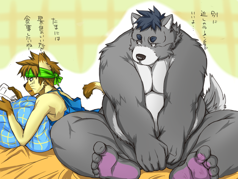 2012 alpha_channel anthro bed belly black_nose canid canine canis domestic_cat domestic_dog duo felid feline felis furniture inunoshippo japanese_text male mammal overweight overweight_male simple_background sitting text transparent_background
