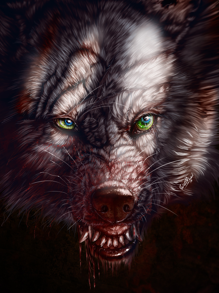 2014 blood bodily_fluids canid canine canis digital_media_(artwork) fur green_eyes grey_body grey_fur mammal teeth wolf wolfroad