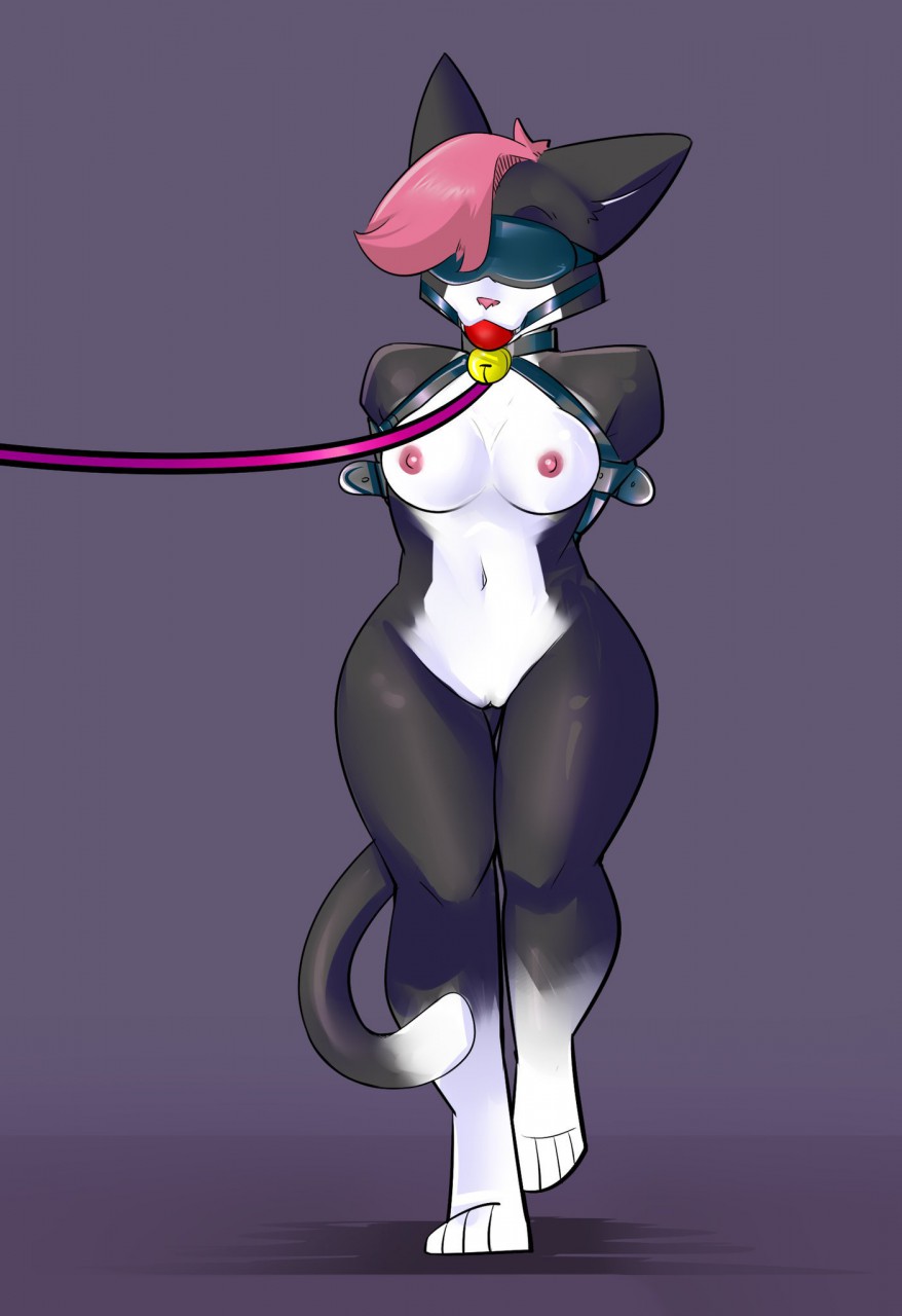 2019 anthro arms_tied ball_gag bdsm bell bell_collar black_collar blindfold bondage bound breasts collar domestic_cat felid feline felis female gag gagged hands_behind_back hi_res leash mammal navel nipples pink_leash pink_nose pussy solo standing zinni zinnick