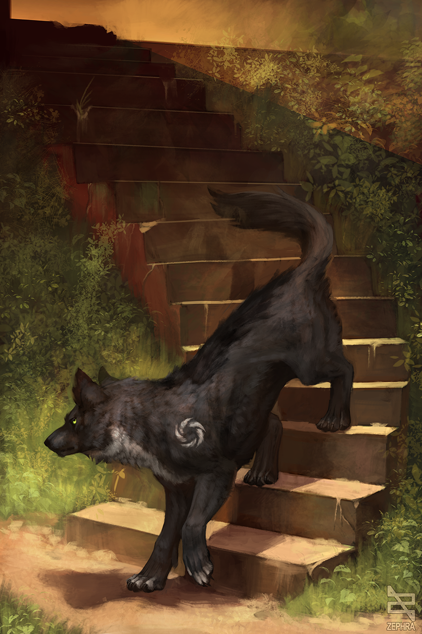 2019 4_toes black_body black_fur canid canine canis day detailed_background digital_media_(artwork) feral fur hi_res male mammal outside solo standing toes wolf zephra