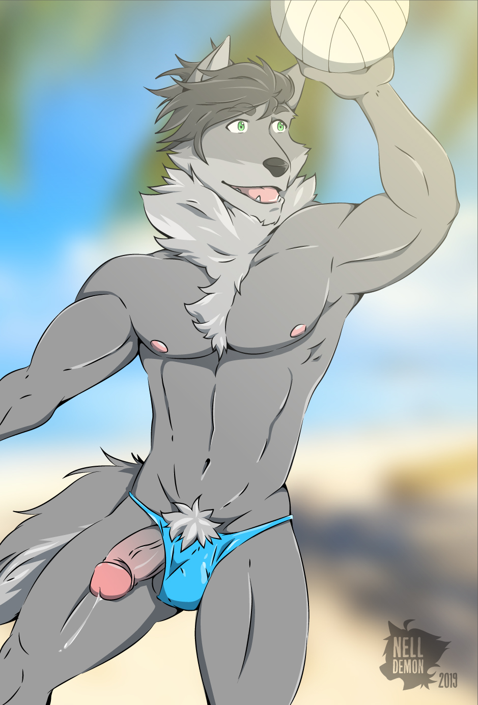 2019 anthro beach black_nose bodily_fluids canid canine canis clothed clothing fur genital_fluids grey_body grey_fur hair hi_res humanoid_penis male mammal muscular muscular_male nell-chan nipples pecs penis pink_nipples precum seaside solo speedo swimwear underwear wardrobe_malfunction wolf