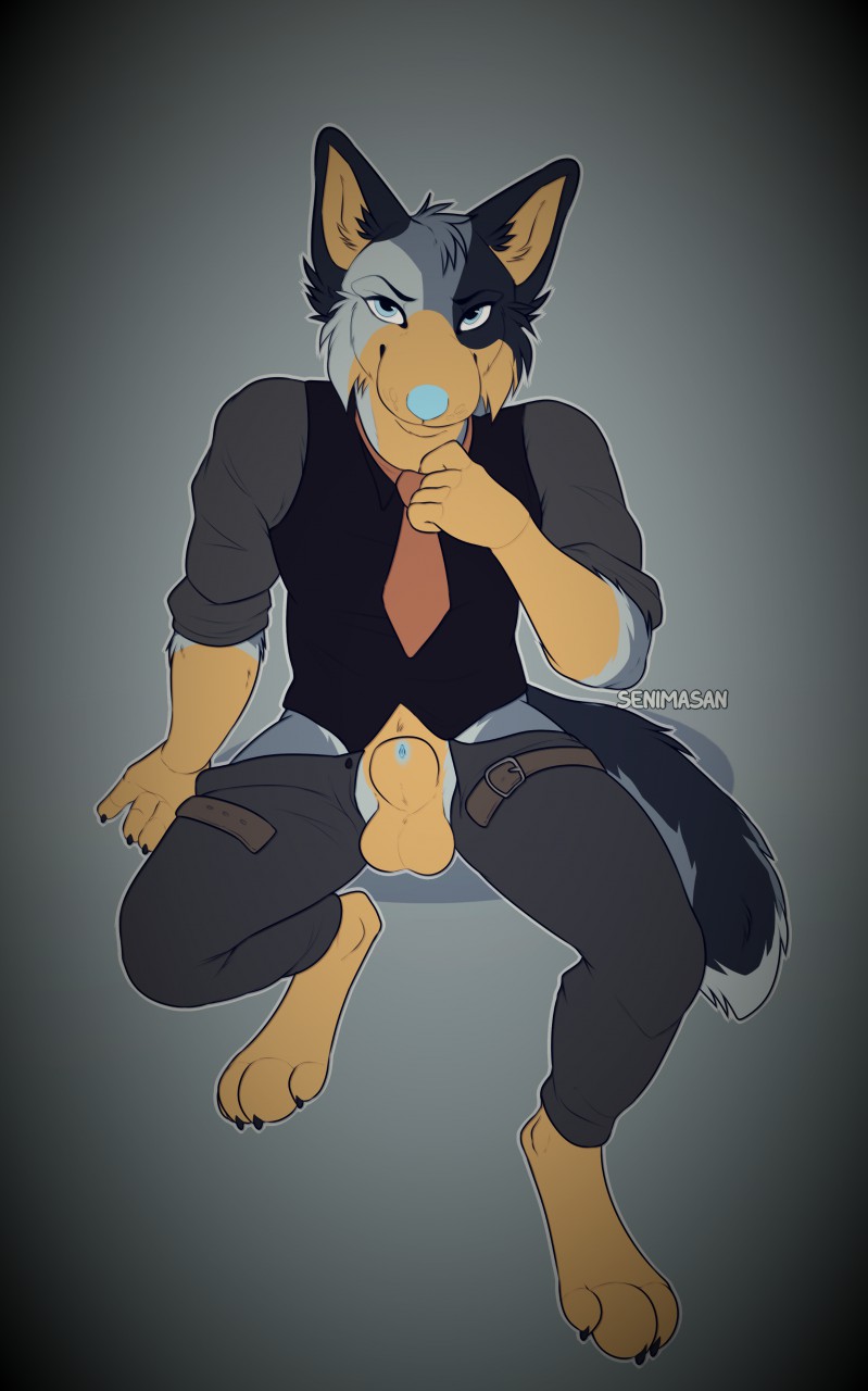 2019 4_toes 5_fingers anthro balls barefoot blue_nose canid canine canis clothed clothing digital_media_(artwork) digitigrade domestic_dog eyebrows eyelashes fingers fur grey_body grey_fur hi_res looking_at_viewer male mammal penis senimasan solo toes