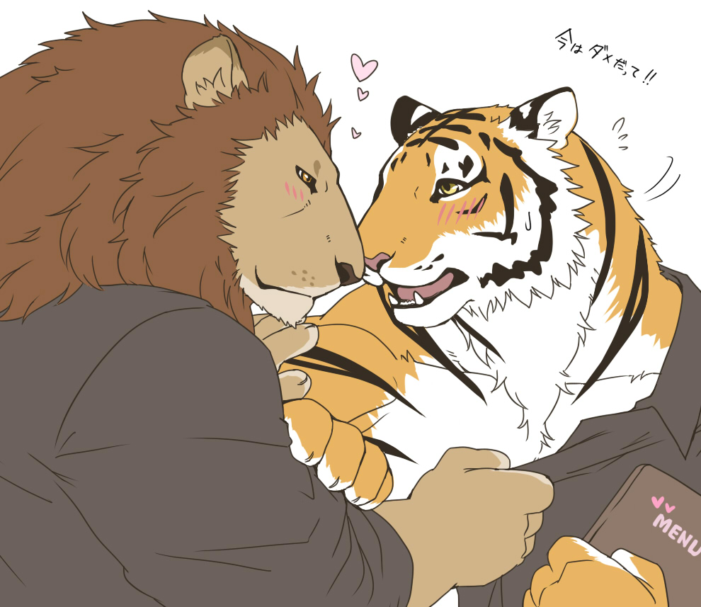 &lt;3 anthro barazoku biceps big_muscles blush chest_tuft dialogue duo english_text felid fingers fur giraffe_(artist) japanese_text lam-chan lion lion-san male male/male mammal multicolored_body multicolored_fur muscular muscular_male open_mouth pantherine pecs simple_background striped_body striped_fur stripes text tiger translated tuft white_background