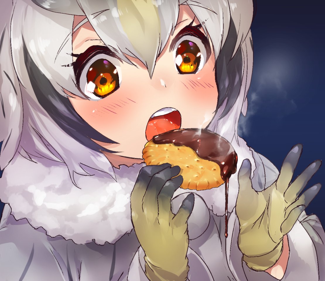 1girl blonde_hair blush buttons chocolate close-up coat commentary_request cookie eating eyebrows_visible_through_hair food fur_collar gloves grey_hair hair_between_eyes kemono_friends long_sleeves multicolored_hair northern_white-faced_owl_(kemono_friends) open_mouth short_hair solo steam tadano_magu white_coat white_hair yellow_eyes yellow_gloves