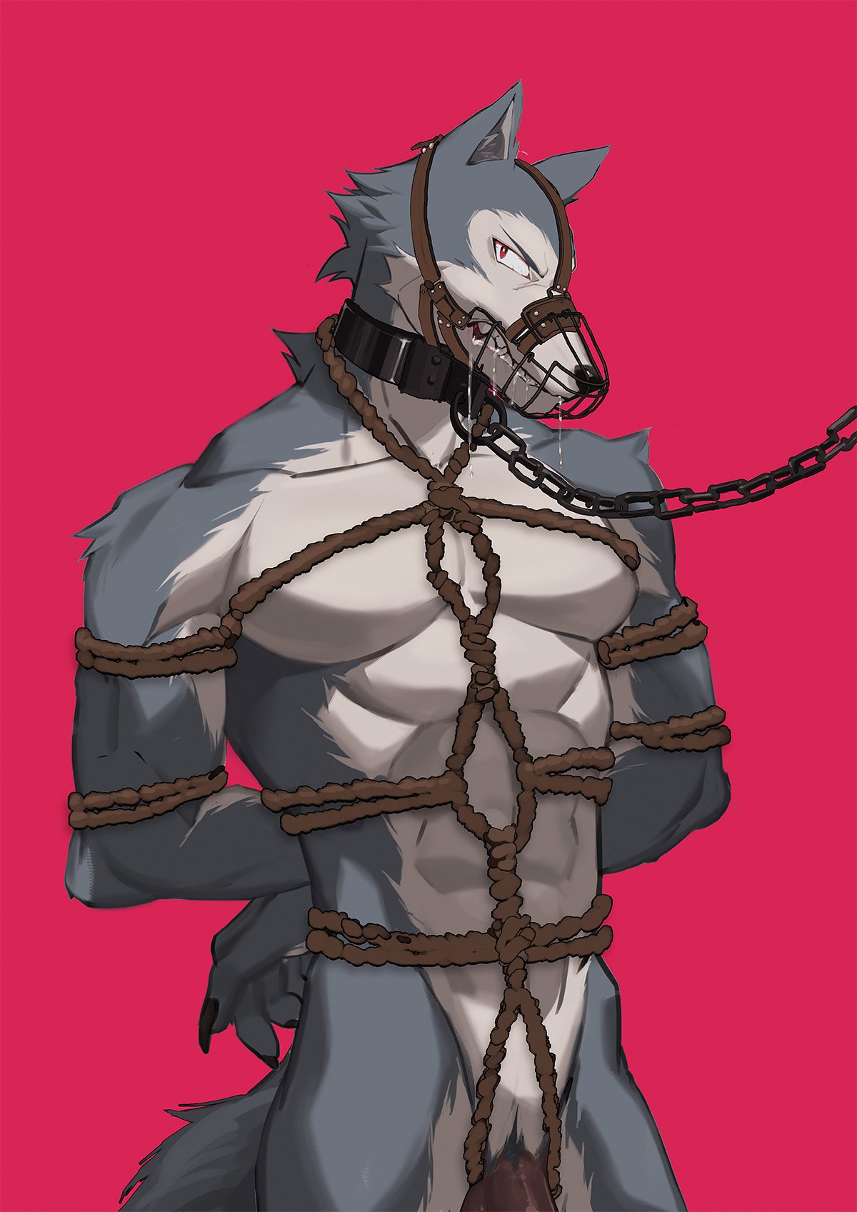 abs angry anime arms_tied baring_teeth bdsm beastars bodily_fluids bondage bound canid canine canis collar drooling hands_behind_back hi_res leash legosi_(beastars) mammal maotengo muzzle_(object) muzzled nude pecs penis red_background rope rope_bondage rope_harness saliva shackles simple_background teeth wolf