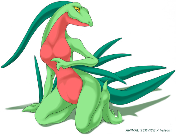 grovyle haison pokemon tagme