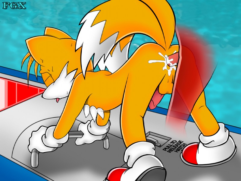 knuckles_the_echidna sonic_team tagme tails