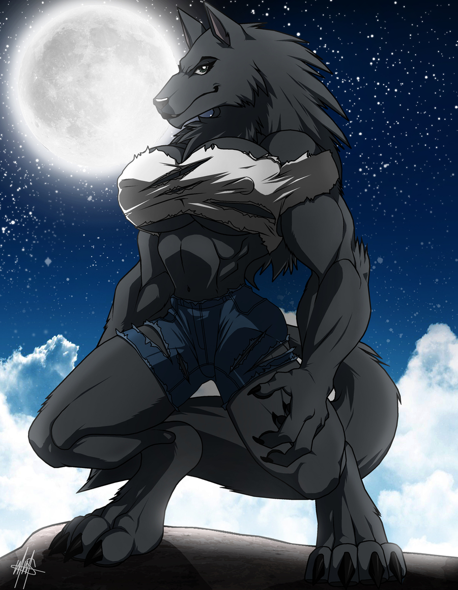 2011 4_toes 5_fingers alora_(walter_sache) anthro biceps big_breasts breasts canid canine canis claws clothing digitigrade female fingers fur grey_eyes hair hindpaw lips long_hair looking_at_viewer mammal moon muscular muscular_female night outside paws photo_background sky solo star starry_sky thick_bottom_lip toe_claws toes walter_sache were werecanid werecanine werewolf wolf
