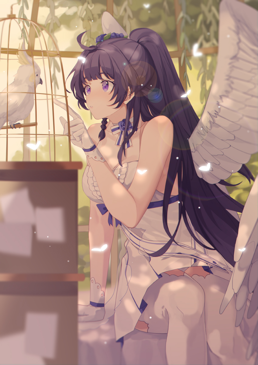 1girl ahoge arm_support bangs bare_shoulders bird birdcage blue_flower blue_rose breasts bug butterfly cage choker cockatoo cowboy_shot dress eyebrows_visible_through_hair feathered_wings flower gloves hair_flower hair_intakes hair_ornament highres honkai_(series) honkai_impact_3rd insect large_breasts lens_flare light_particles long_hair looking_at_another parted_lips plant pointing ponytail purple_eyes purple_hair purple_ribbon raiden_mei ribbon rose sidelocks sitting sleeveless sleeveless_dress solo sulphur-crested_cockatoo thighhighs very_long_hair werlosk white_choker white_dress white_gloves white_legwear wings