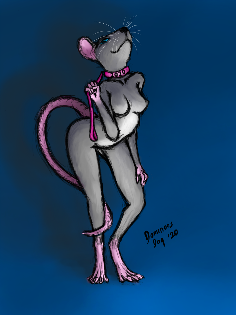 2020 anthro biped black_nose blue_background blue_eyes breasts claws collar digital_drawing_(artwork) digital_media_(artwork) digitigrade dominoesdog female fur grey_body grey_fur hi_res hindpaw leaning leaning_forward leash looking_at_viewer mammal murid murine nude offering_leash paws pink_collar pink_leash pinup pose rat rat_tail rodent simple_background smile solo toe_claws whiskers
