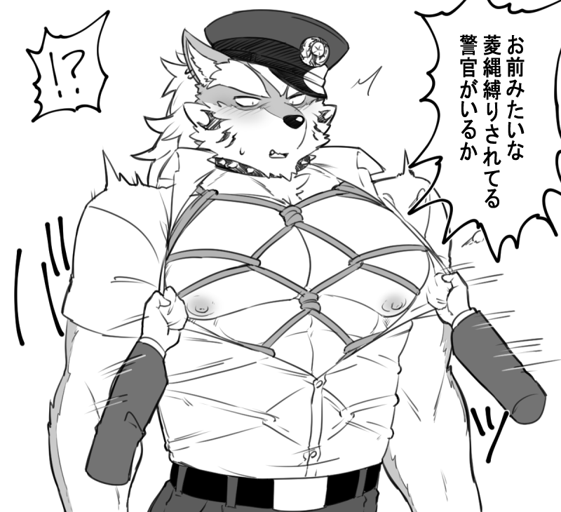 aaassstaro assisted_exposure blush bound canid canine canis clothing collar disembodied_hand embarrassed eyebrows fenrir_(housamo) hat headgear headwear japanese_text male mammal muscular muscular_male nipples pecs rope rope_bondage rope_harness tattoo text thick_eyebrows tokyo_afterschool_summoners unbuttoned_shirt video_games wolf