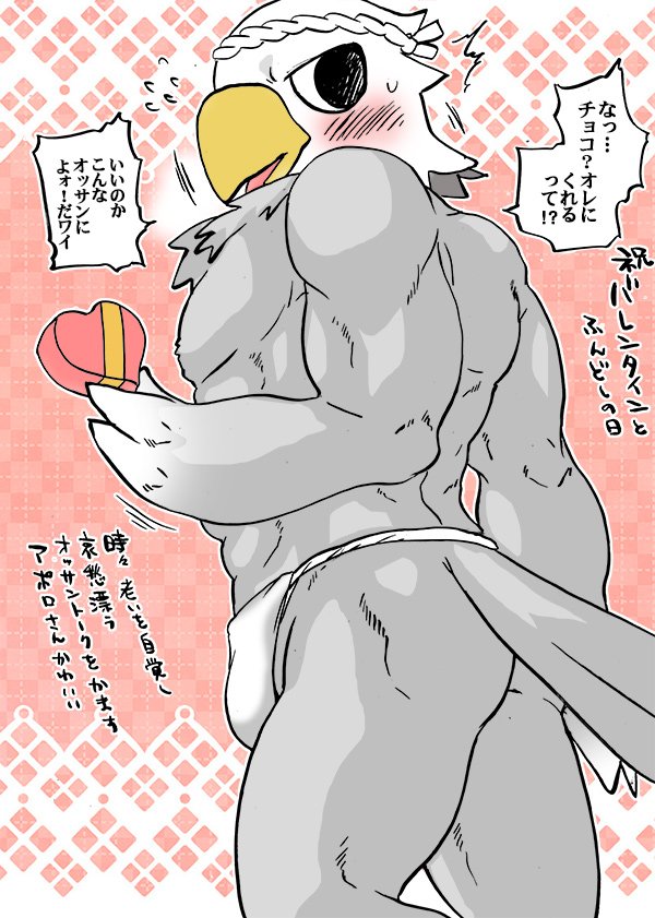 &lt;3 accipitrid accipitriform animal_crossing anthro apollo_(animal_crossing) asian_clothing avian bald_eagle bird blush box bulge butt clothing eagle east_asian_clothing embarrassed fundoshi holidays japanese_clothing japanese_text male manly nintendo sea_eagle simple_background text translation_request umaibouozisan_(artist) underwear valentine's_day video_games