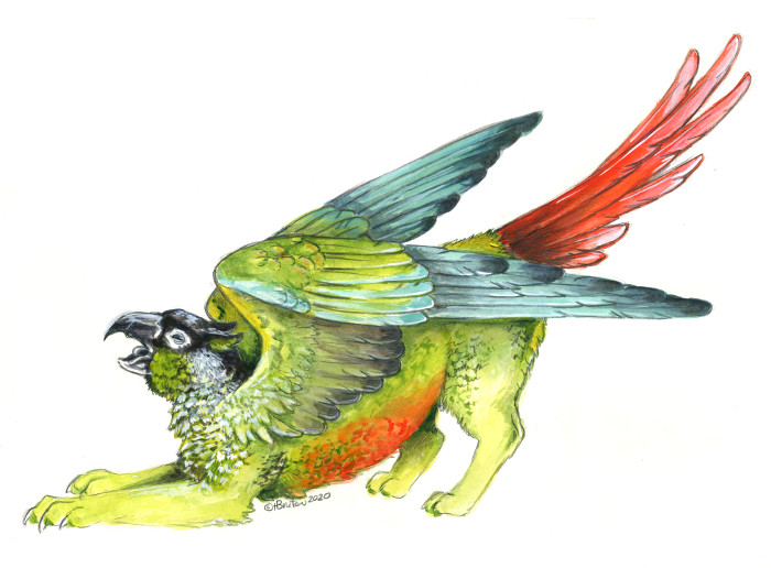 2020 ambiguous_gender avian bird black_body black_feathers blue_body blue_feathers claws eyes_closed feathered_wings feathers green-cheeked_conure green_body green_feathers gryphon heather_bruton neotropical_parrot open_mouth parakeet parrot red_body red_feathers simple_background solo stretching true_parrot white_background white_body white_feathers wings