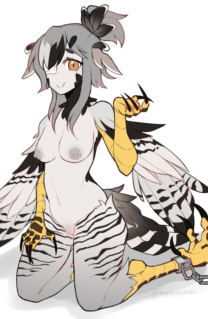 1girl bird_legs bird_tail black_feathers blush breasts claws commentary cuffs english_commentary eyepatch feathered_wings feathers grey_feathers grey_hair grey_wings hair_up harpy head_wings highres inverted_nipples looking_at_viewer medical_eyepatch medium_breasts monster_girl navel nude orange_eyes original pussy shackles short_hair_with_long_locks sidelocks simple_background smile solo tail topopopokoko twitter_username uncensored white_background winged_arms wings