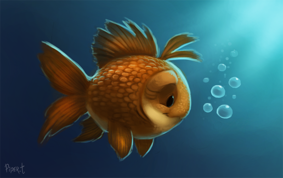 ambiguous_gender cryptid-creations cyprinid cypriniform fish goldfish marine solo underwater water