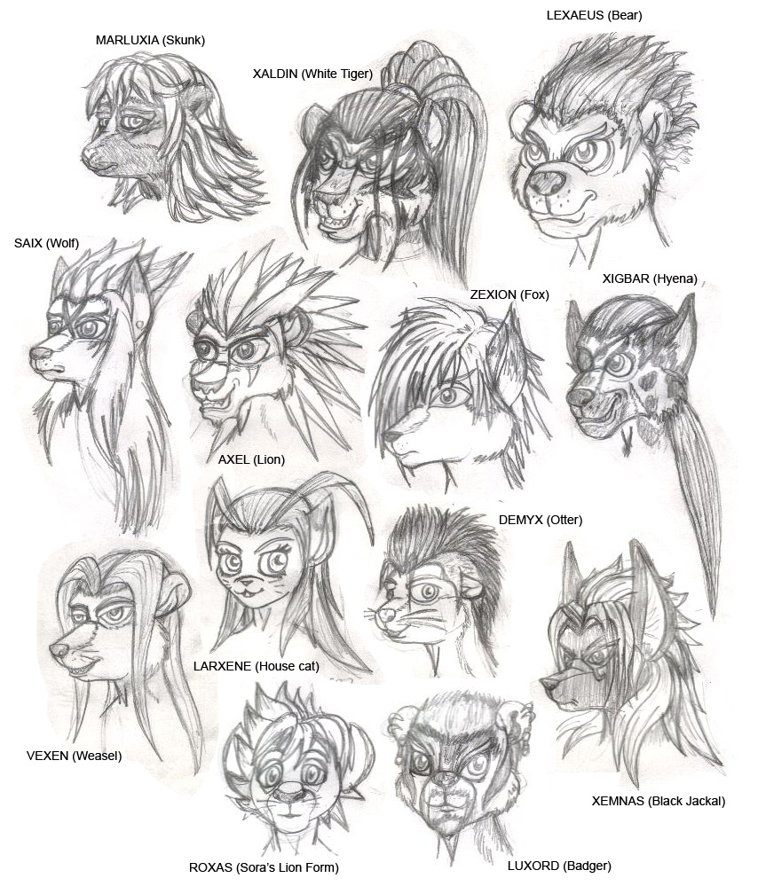 anthro anubian_jackal axel_(kingdom_hearts) badger canid canine canis demyx_(kingdom_hearts) domestic_cat felid feline felis female fox greyscale group hyaenid jackal kingdom_hearts larxene lexaeus lion lutrine luxord_(kingdom_hearts) male mammal marluxia mephitid monochrome mustelid musteline organization_13 pantherine roxas_(kingdom_hearts) sa&iuml;x shinragod simple_background skunk spotted_hyena square_enix tiger ursid vexen video_games white_background wolf xaldin xemnas xigbar zexion