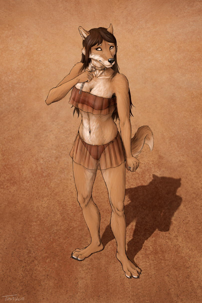 3_toes 4_fingers 5_fingers anthro black_nose brown_body brown_eyes brown_fur brown_hair canid canine canis clothed clothing collar female fingers fur hair mammal midriff navel sitting solo titusw toes wolf
