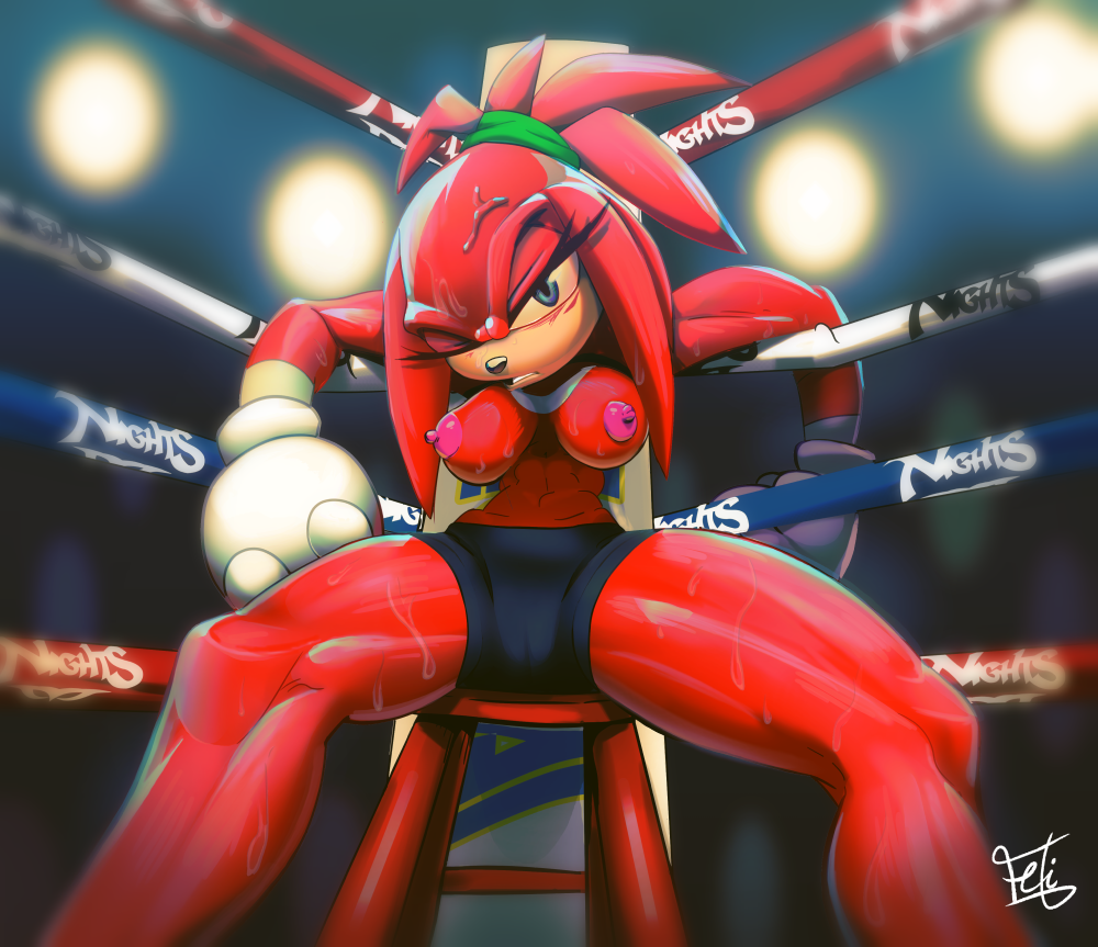 anthro boxing breasts clothed clothing crossgender echidna feliscede female knuckles_the_echidna mammal monotreme muscular muscular_female ring solo sonic_the_hedgehog_(series) sport topless
