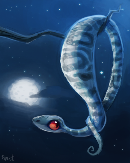 cloud cryptid-creations moon night reptile scalie sky snake solo star
