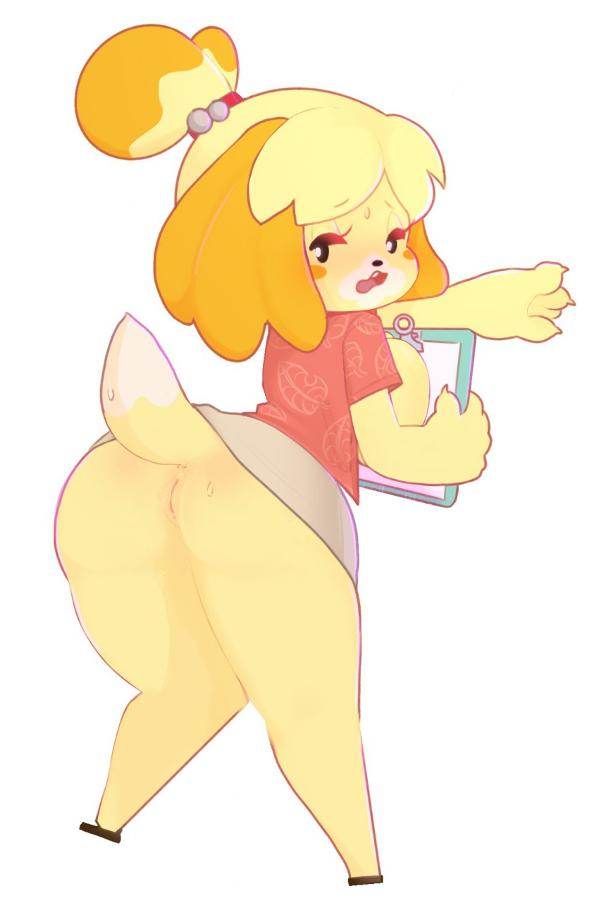 animal_crossing anthro big_breasts big_butt blush bodily_fluids bottomless breasts butt canid canine canis clipboard clothed clothing domestic_dog female fur genitals hair half-closed_eyes hi_res isabelle_(animal_crossing) looking_at_viewer looking_back mammal narrowed_eyes nintendo open_mouth partially_clothed presenting presenting_hindquarters pussy shih_tzu simple_background solo standing sweat teeth thick_thighs tongue toy_dog video_games white_background wide_hips wtchynbtchy yellow_body yellow_fur