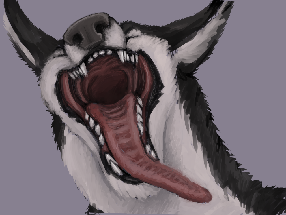 2018 ambiguous_form ambiguous_gender black_body black_fur black_nose bust_portrait canid canine digital_drawing_(artwork) digital_media_(artwork) digital_painting_(artwork) eyes_closed fangs front_view fur grey_background inner_ear_fluff mammal mouth_shot multicolored_body multicolored_fur neck_tuft nude open_mouth portrait red_tongue simple_background solo teeth tongue tongue_out tuft verkele white_body white_fur yawn