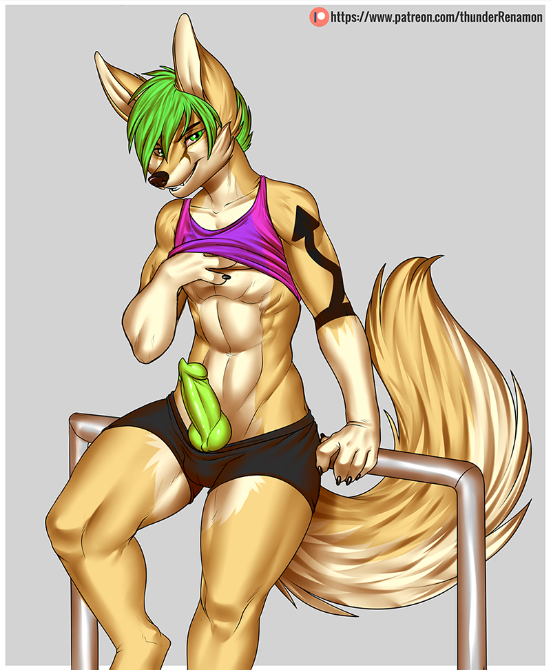 animal_genitalia animal_penis anthro athletic athletic_male bottomwear canid canine canine_penis clothing fennec fox fur genitals green_eyes green_hair green_penis hair knot leaning looking_at_viewer male mammal patreon penis shirt shorts smile solo standing tan_body tan_fur tank_top tattoo thunder-renamon topwear ziggy_zerda