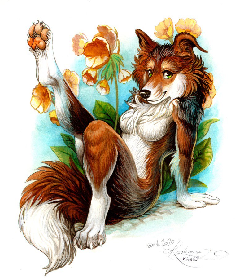 2020 4_toes 5_fingers anthro black_nose breasts brown_body brown_fur canid canine canis collie domestic_dog featureless_breasts female fingers fur green_eyes herding_dog kashmere looking_at_viewer mammal nude pastoral_dog pawpads rough_collie sheepdog smile solo toes white_body white_fur