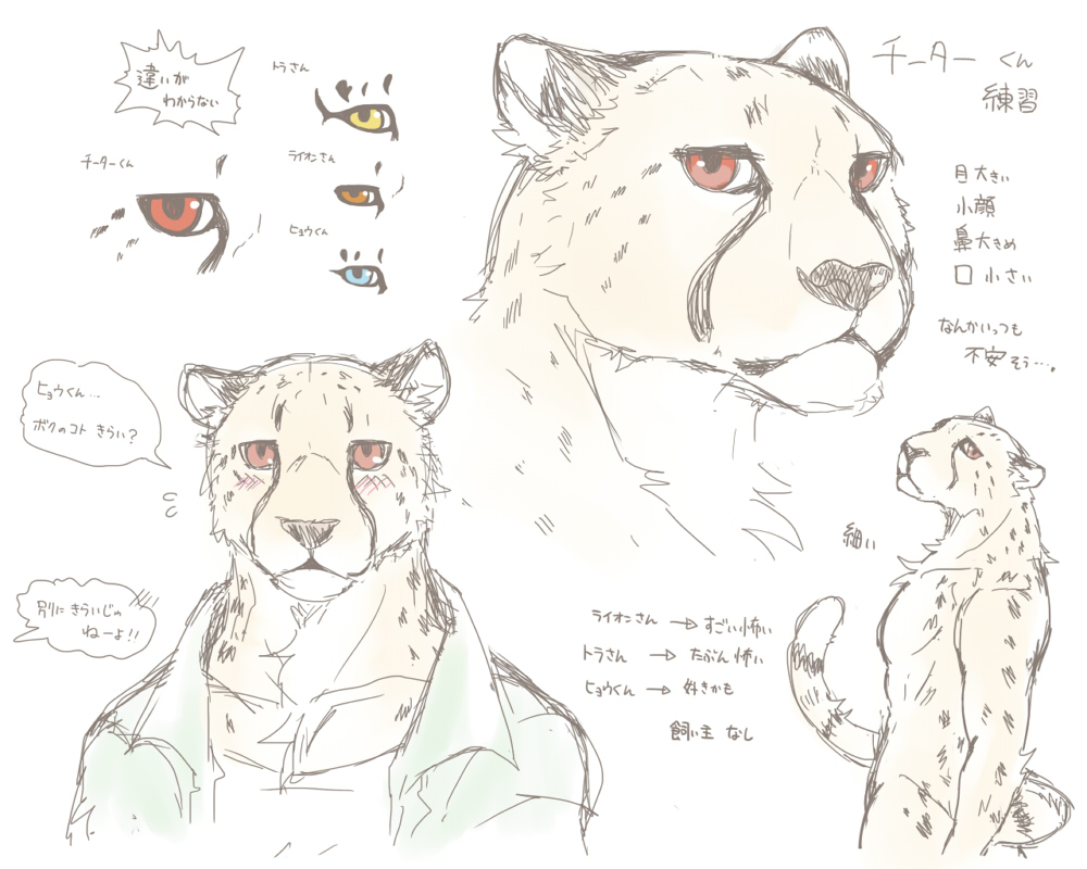 2016 5:4 blush cheetah felid feline giraffe_(artist) japanese_text looking_at_viewer male mammal simple_background solo text translation_request white_background
