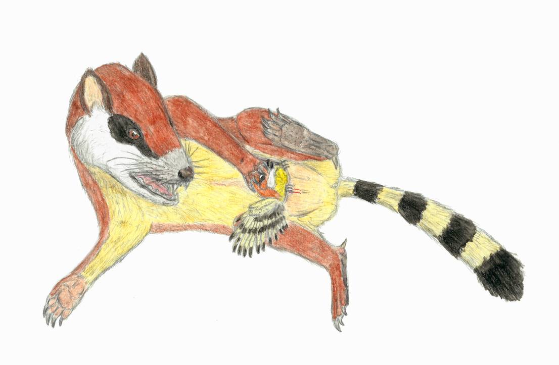 adoption avian bad_parenting bird cretaceous diegooa dinosaur discomfort enantiornithean enantiornithine eutriconodont female feral gobiconodon humor mammal mother pain paleoart parent pouch_(disambiguation) reptile scalie spurs stripes synapsid whiskers wings