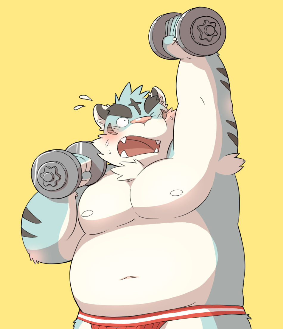 2015 anthro belly blue_body blue_fur blush bodily_fluids clothing exercise felid fur humanoid_hands jockstrap kemono kinoshita-jiroh male mammal moobs navel nipples overweight overweight_male pantherine simple_background solo sweat tiger underwear white_body white_fur workout yellow_background