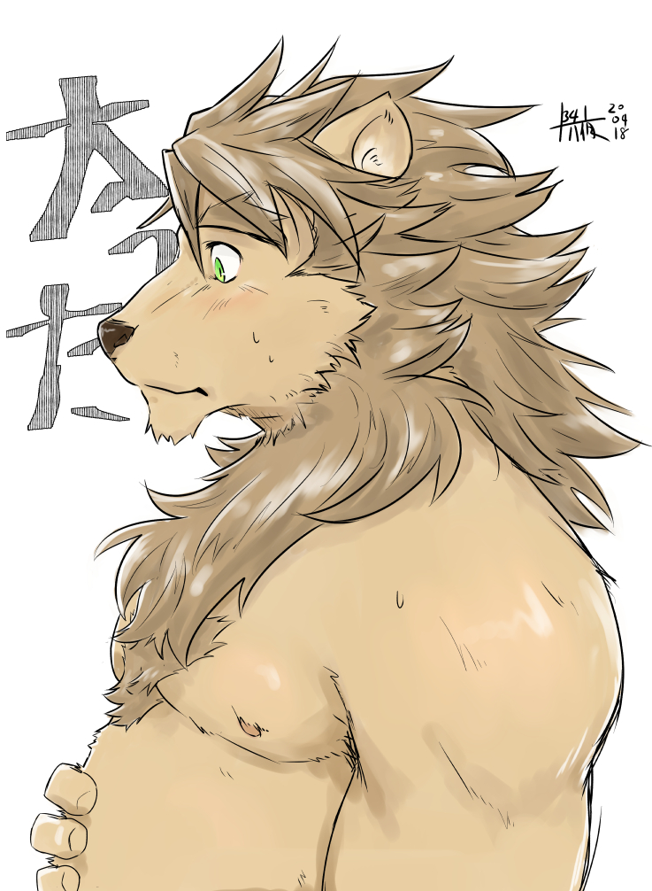 2020 anthro bodily_fluids body_hair brown_body brown_fur brown_mane brown_nose chest_hair felid fur green_eyes hand_on_stomach lion male mammal mane nipples pantherine side_view slightly_chubby solo sweat sweatdrop z_j1341