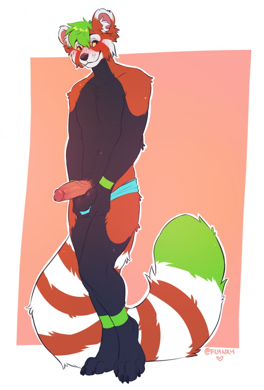 ailurid anthro balls black_body black_fur blush clothed clothing digital_media_(artwork) flynx-flink fur genitals green_body green_fur green_hair hair hi_res male mammal paws penis red_body red_fur red_panda shy smile solo standing striped_tail stripes vein