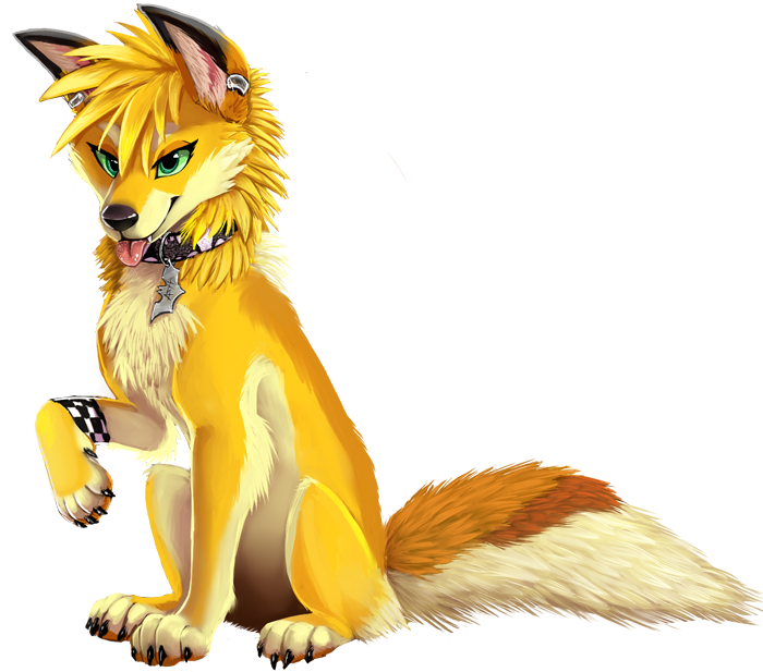 2013 alpha_channel ash_fox_(skeleion) canid canine chest_tuft collar dipstick_ears ear_piercing feral fox fur green_eyes head_tuft mammal multicolored_ears piercing simple_background skeleion solo tongue tongue_out transparent_background tuft yellow_body yellow_fur