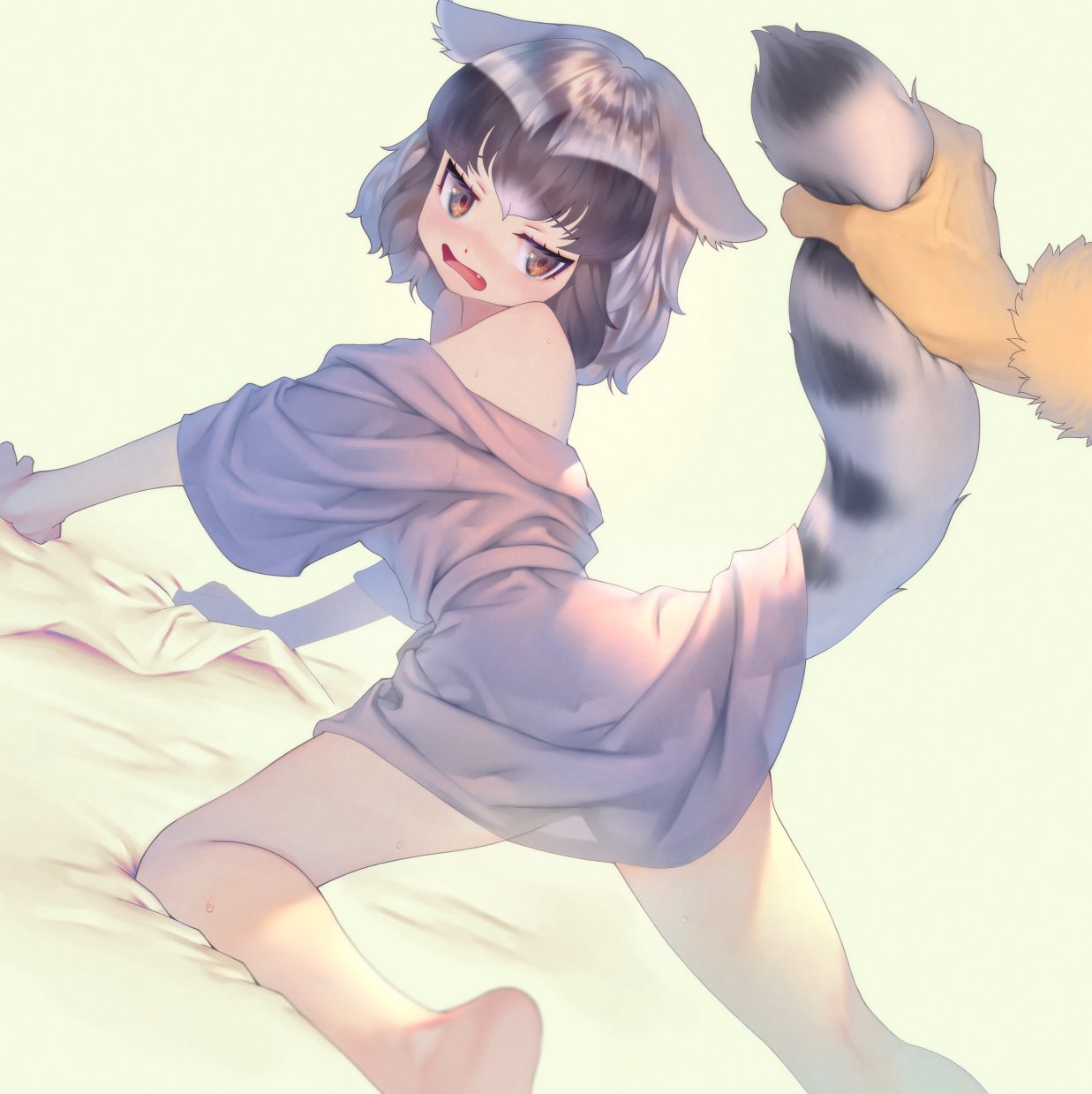 2girls all_fours animal_ears bangs bare_shoulders black_hair blush common_raccoon_(kemono_friends) fang fennec_(kemono_friends) fur_trim grey_hair highres holding_another's_tail kemono_friends mifu_(b24vc1) multicolored_hair multiple_girls open_mouth out_of_frame raccoon_ears raccoon_tail sheet_grab short_hair simple_background tail tail_grab veins white_hair yellow_background